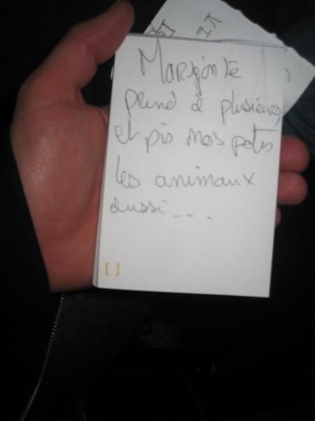 Qui est le coupable ???