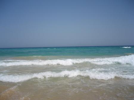 Si �a, c'est pas du r�ve ?!!!