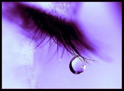 Comme d'Habitude ...